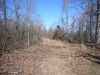 Map or photo for Fulton County, Arkansas hunting lease property.