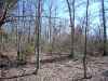 Map or photo for Fulton County, Arkansas hunting lease property.