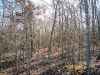 Map or photo for Fulton County, Arkansas hunting lease property.