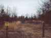 Look close and you can see the 3 does and a half rack buck.