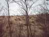 Map or photo for Harrison County, Ohio hunting lease property.