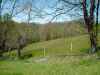 Map or photo for Belmont County, Ohio hunting lease property.