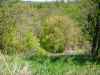 Map or photo for Belmont County, Ohio hunting lease property.
