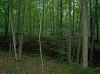 Map or photo for Brown County, Ohio hunting lease property.
