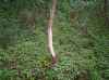 Map or photo for Brown County, Ohio hunting lease property.