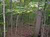Map or photo for Brown County, Ohio hunting lease property.