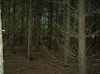 Map or photo for Brown County, Ohio hunting lease property.