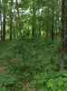 Map or photo for Pope County, Illinois hunting lease property.