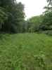 Farm