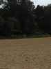 Map or photo for Pope County, Illinois hunting lease property.