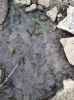Map or photo for Pope County, Illinois hunting lease property.