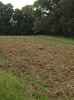 Map or photo for Pope County, Illinois hunting lease property.