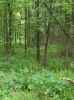 Map or photo for Pope County, Illinois hunting lease property.