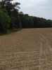 Map or photo for Pope County, Illinois hunting lease property.