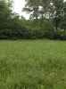 Map or photo for Pope County, Illinois hunting lease property.