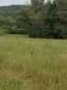 Map or photo for Pope County, Illinois hunting lease property.