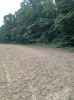 Map or photo for Pope County, Illinois hunting lease property.