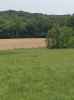 Farm