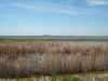 Waterfowl hunting in Mchenry county North Dakota