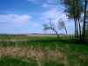 Map or photo for McHenry County, North Dakota hunting lease property.