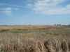 Mchenry county North Dakota hunting lease
