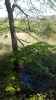 Map or photo for Talbot County, Maryland hunting lease property.