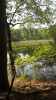 Map or photo for Talbot County, Maryland hunting lease property.
