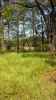 Map or photo for Talbot County, Maryland hunting lease property.