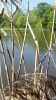 Map or photo for Talbot County, Maryland hunting lease property.