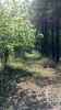 Map or photo for Talbot County, Maryland hunting lease property.