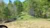 Map or photo for Marion County, Kentucky hunting lease property.