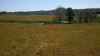 Map or photo for Marion County, Kentucky hunting lease property.