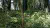 Map or photo for Switzerland County, Indiana hunting lease property.