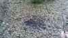 Map or photo for Switzerland County, Indiana hunting lease property.