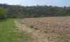 Map or photo for Grant County, Wisconsin hunting lease property.
