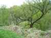 Map or photo for Grant County, Wisconsin hunting lease property.