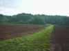 South boundary of property, ATV access lane.