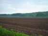 Map or photo for Erie County, Pennsylvania hunting lease property.