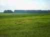 Map or photo for Erie County, Pennsylvania hunting lease property.