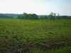 Map or photo for Erie County, Pennsylvania hunting lease property.