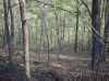 Map or photo for Winona County, Minnesota hunting lease property.