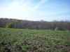 Map or photo for Winona County, Minnesota hunting lease property.