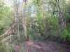 Map or photo for Winona County, Minnesota hunting lease property.