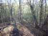 Map or photo for Winona County, Minnesota hunting lease property.