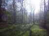 Map or photo for Winona County, Minnesota hunting lease property.