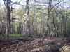 Map or photo for Winona County, Minnesota hunting lease property.