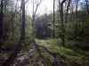 Map or photo for Winona County, Minnesota hunting lease property.