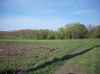 Map or photo for Winona County, Minnesota hunting lease property.