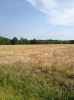 Map or photo for Clay County, Illinois hunting lease property.