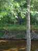 Map or photo for Clay County, Illinois hunting lease property.